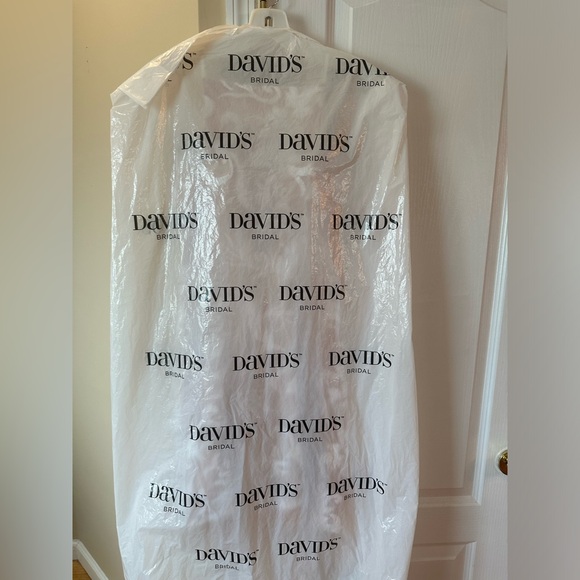 David’s Bridal Dress Worn Once - Picture 4 of 15